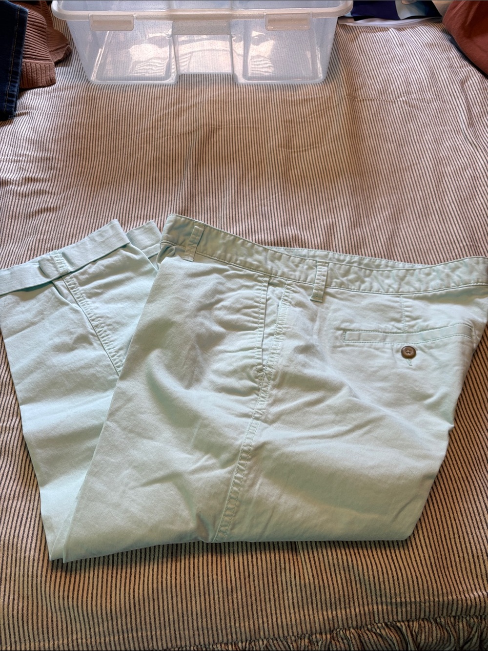 GAP Light Mint Chino Pants